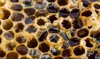 蜂蜡里面的东西是真的吗 蜂蜡是什么东西